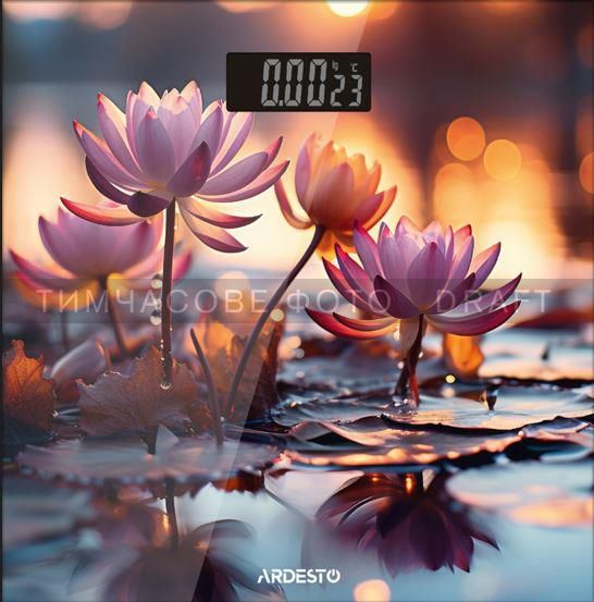 ARDESTO ���� ������� LOTUS, 150��, AAAx2 � ��������, ����, �������������� SCB-965LOTUS - �������� 1