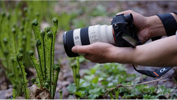 �������� Sony 70-200mm, f/4.0 G OSS II ��� ����� NEX FF SEL70200G2.SYX - �������� 5