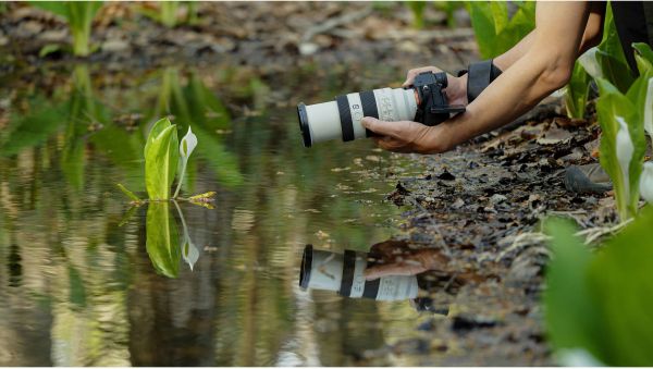 �������� Sony 70-200mm, f/4.0 G OSS II ��� ����� NEX FF SEL70200G2.SYX - �������� 6