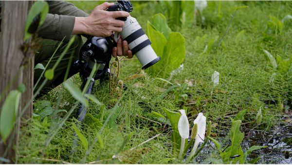 �������� Sony 70-200mm, f/4.0 G OSS II ��� ����� NEX FF SEL70200G2.SYX - �������� 9