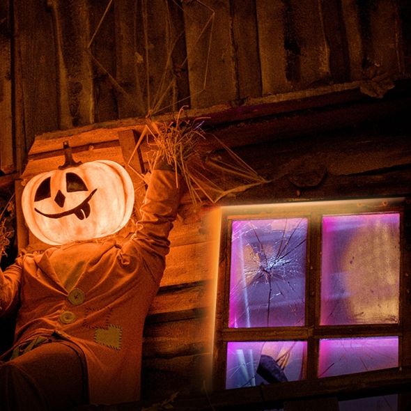 TP-Link ������� ������������ Wi-Fi ������ TAPO L920-5 TAPO-L920-5 - �������� 5