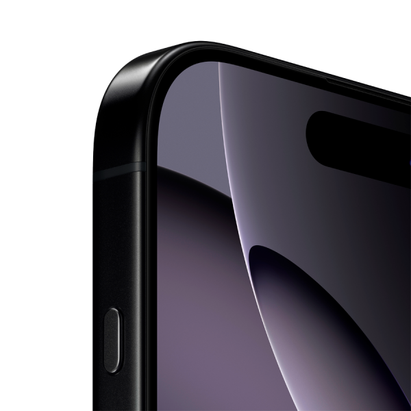 �������� Apple iPhone 16 Pro Max 256GB Black Titanium (MYWV3) - �������� 3