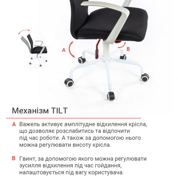 ������ ������� ����� ���� WT TILT ������ - �������� 12