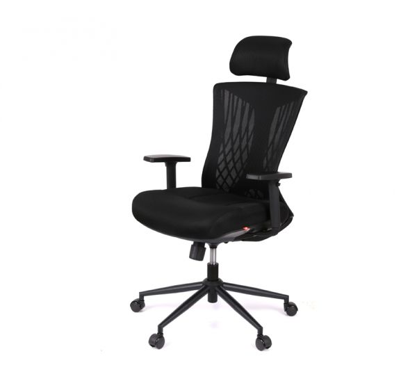 ������ ������� ����� ����� BL R-SR SP-7800BK ������ (Mesh 03 black) - �������� 1