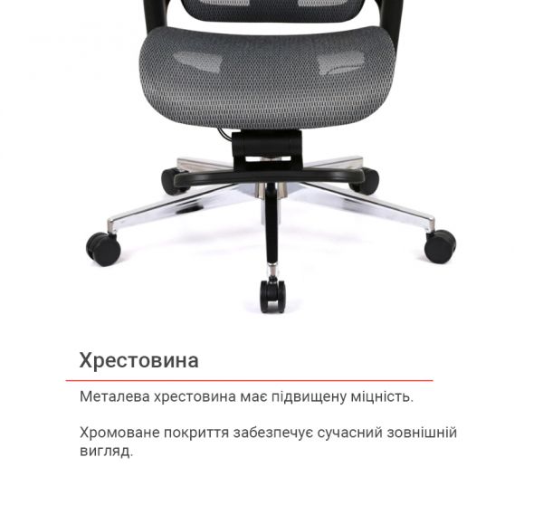 ������ ����� ������ R-SR ����� (�����) - �������� 36