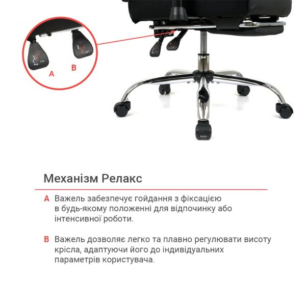 ������ ����� ��������� RL 10093H ����� (����� 66 �����) - �������� 35