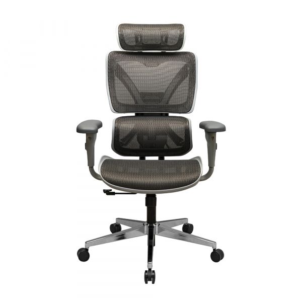 ������ ������� ��������� ���� Synchro ����� - �������� 2