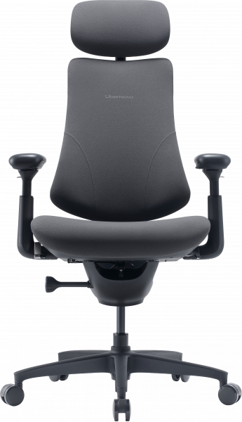 ����� ������ ���������� LiberNovo Omni Gen Graphite 48 �� - �������� 1