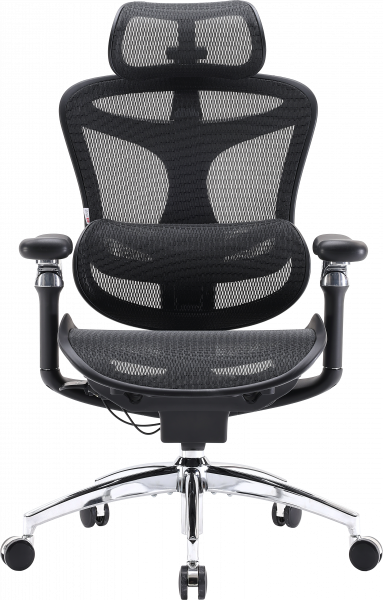 ����� ������ Sihoo DORO C300 Pro Mesh Black - �������� 1