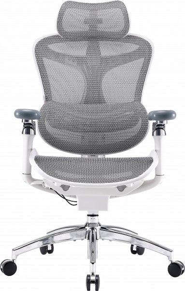 ����� ������ Sihoo DORO C300 Pro Mesh White - �������� 1