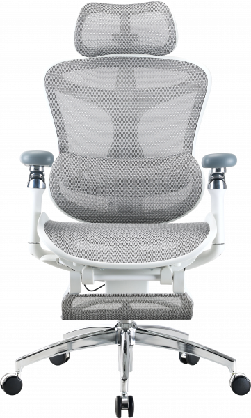 ����� ������ � ��������� ��� ��� Sihoo DORO C300 Pro Mesh White with footrest - �������� 1