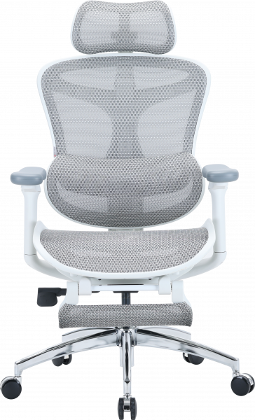 ����� ������ � ��������� ��� ��� Sihoo DORO C300L Mesh White with footrest - �������� 1