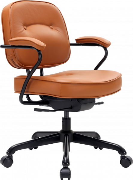 ����� ������ Sihoo L3 PVC Brown - �������� 1