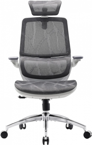 ����� ������ Sihoo M59AS Mesh Gray - �������� 1