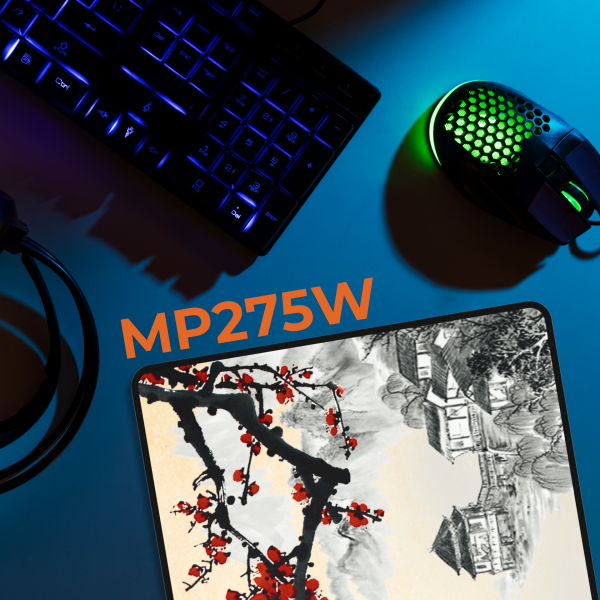 ������� ��� ���� ������ �������� GamePro (MP275W) - �������� 2