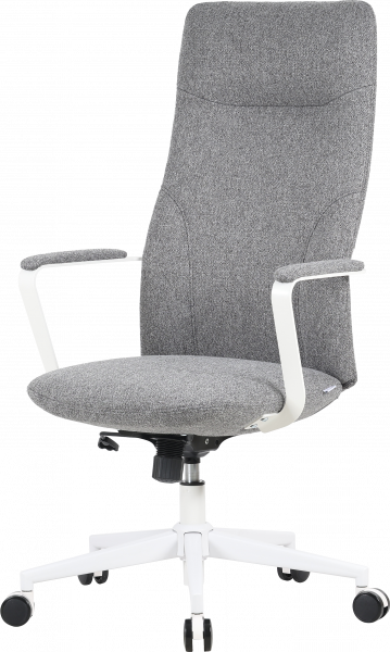 ����� ������ OfficePro Shift OC545DG Dark Gray - �������� 1