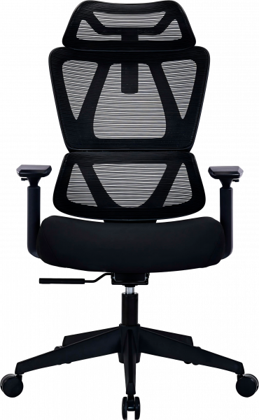 ����� ������ OfficePro Anvio OC590B - �������� 1