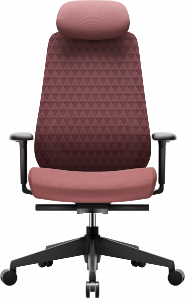 ����� ������ OfficePro Omnis OC640R - �������� 1