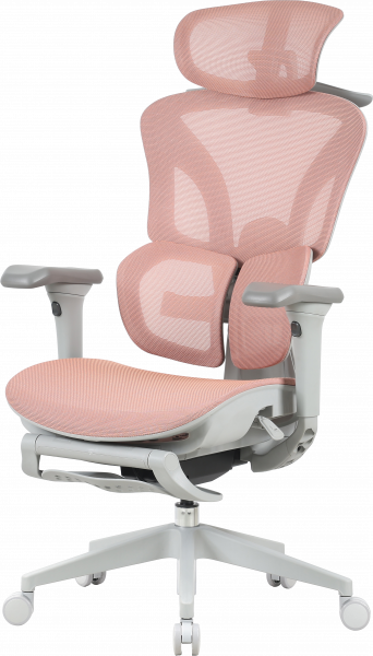 ����� ������ OfficePro Elite OC950GLP Gray/Light Pink - �������� 1