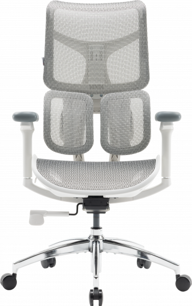 ����� ������ Sihoo DORO S100 Mesh White - �������� 1