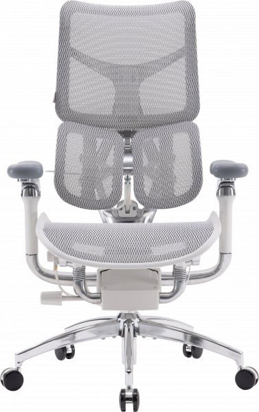 ����� ������ Sihoo DORO S300 Mesh Light Grey - �������� 1