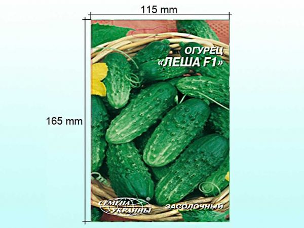 ó���� ����� ˸�� F1 4 � (10 �����) �� ������ ������� - �������� 1