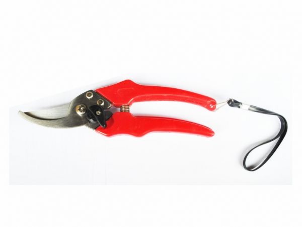  195   ,. 71000  TECHNICS -  1