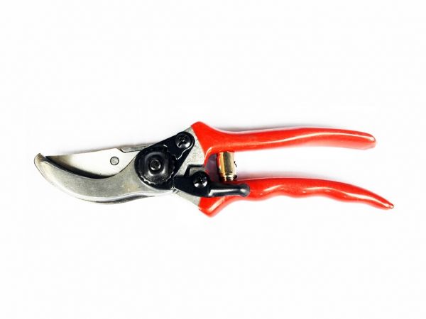 ������� 205 �� ����� ��� d=20 ��,����� ����.71003 �� TECHNICS - �������� 1