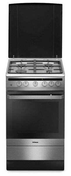 ������� ����� Hansa FCGX53021 (54313) - �������� 1