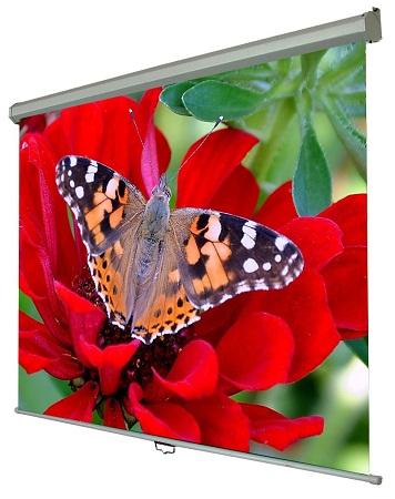 ����� �������� Walfix SNM-5 �������� 150", �������� 300 � 225 ��, ������������ ����� 4:3, �������� ���������� �����������, ������� ������ ������� ����� ������� - �������� 1