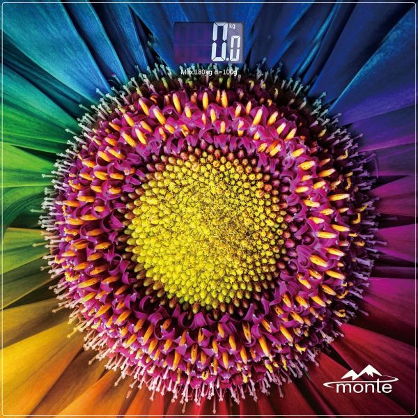   Monte -6011-8, , ,   180,    , : 2626 ,  2*AAA (   ) -  1