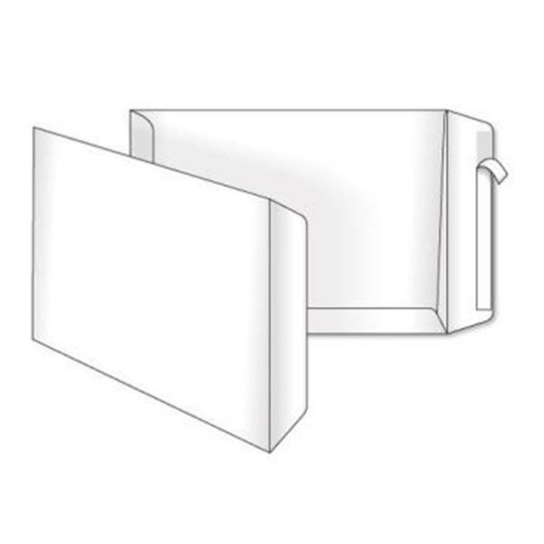 �������� �4 (250�353 ��), White, 250 ��, Kuvert (5040) - �������� 1