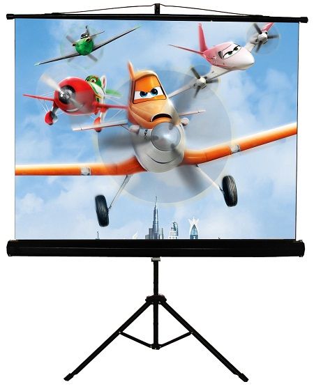 ����� ��������� � �������� Walfix SNT-3, ���������: 100", ��������: 200�150 ��, ����������� ������: 4:3, ��������� ������� ������ ����� - �������� 1