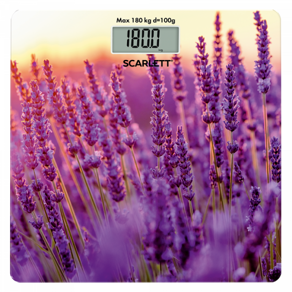  SCARLETT SC-BS33E047 -  -  1