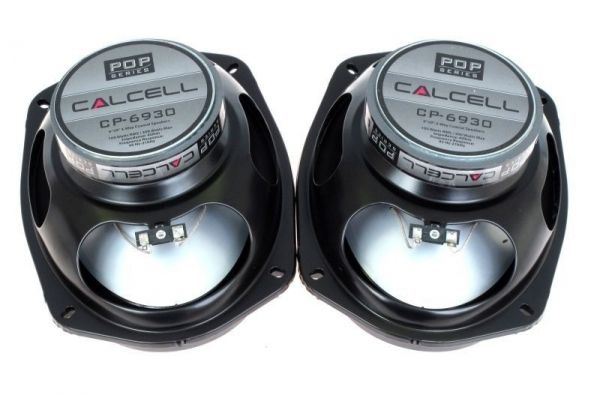 Calcell CP-6930 - �������� 2