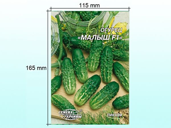 ó���� ����� ����� F1 (�����) 4 � (10 �����) �� ������ ������� - �������� 1