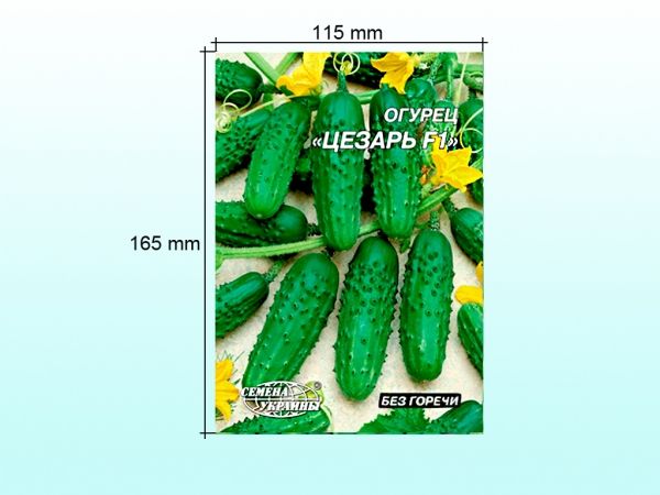 ó���� ����� ������ F1 (�����) 4 � (10 �����) �� ������ ������� - �������� 1