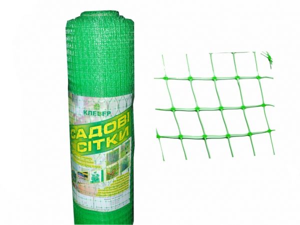 ѳ��� ��� �������� 12�14 h1 �,l50 � �12/1/50 ������� �� ������ - �������� 1