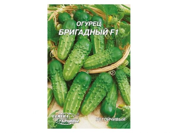 ó���� ����� ��������� F1 4 � (10 �����) �� ������ ������� - �������� 1