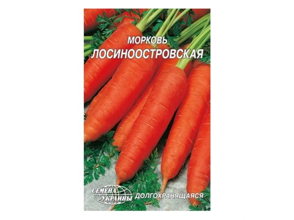 ó���� ������ ���������������� 20 � (10 �����) �� ������ ������� - �������� 1