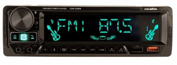 ����-������� Celsior CSW-2400M - �������� 1