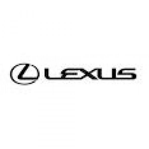 �������� ������ 7.9" Gazer VT-RX-79-G (Lexus RX) - �������� 1