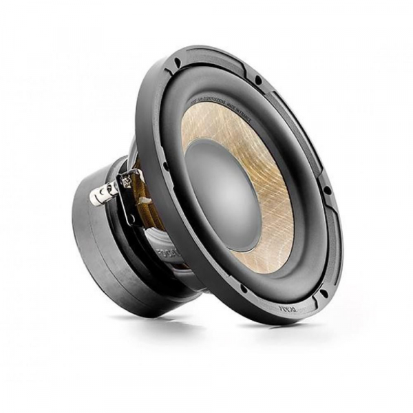 �������� FOCAL P20FE - �������� 1