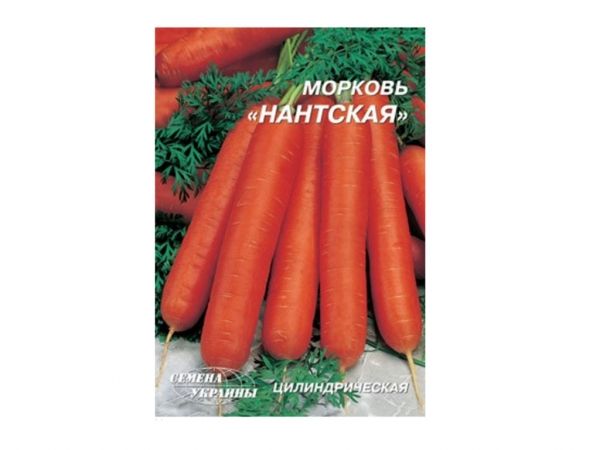 ó   20  (10 )    -  1