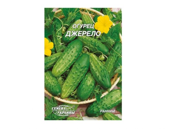 ó���� ����� ������� 10� (10 �����) �� ������ ������� - �������� 1