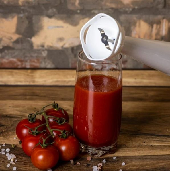 ������ ������������� GRUNHELM EBS-501� - �������� 4