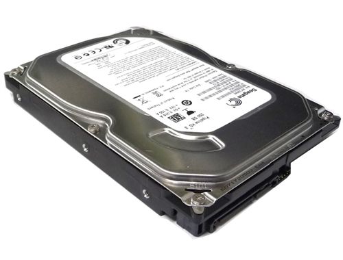 �������� ���� 3.5" 250Gb Seagate Video, SATA2, 8Mb, 5900 rpm (ST3250312CS) (Ref) - �������� 1