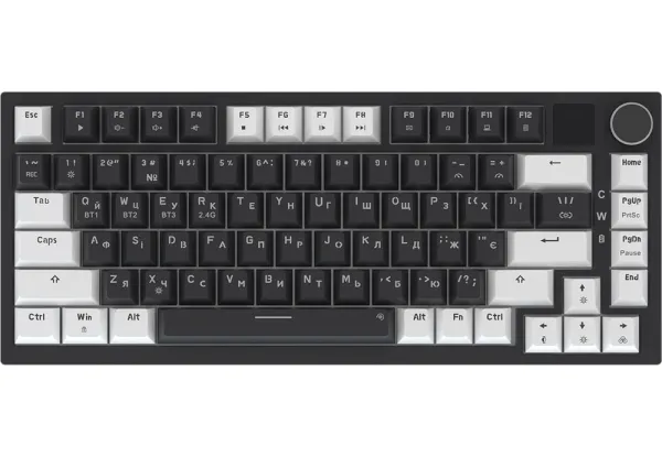 ���������� ��������� ��������� GamePro Asgard Valhalla Pro (MK160B-D-Pro) 75% Rainy switches - �������� 2