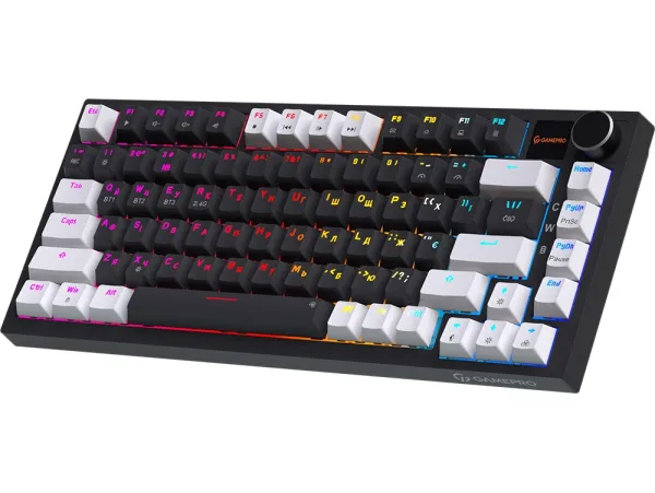 ���������� ��������� ��������� GamePro Asgard Valhalla Pro (MK160B-D-Pro) 75% Rainy switches - �������� 3