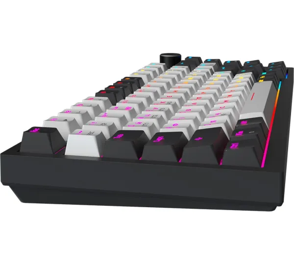 ���������� GamePro Asgard Valhalla Pro 75% Rainy switches (MK160W-D-Pro) - �������� 5
